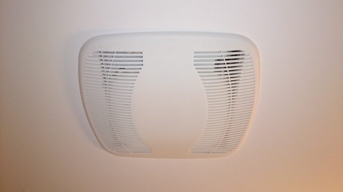 bf_fan